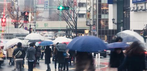 雨日|雨